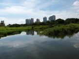 Ang Mo Kio park