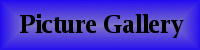 Picture Gallery