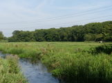 Fields by Allen
                        river