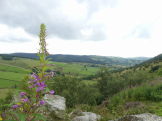 Derbyshire dales